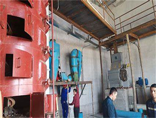 Machine de prétraitement et de pressage d'huile de soja en Algérie