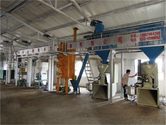 Machine d'extraction d'huile de graines de citrouille à faible investissement de 500 tonnes par jour