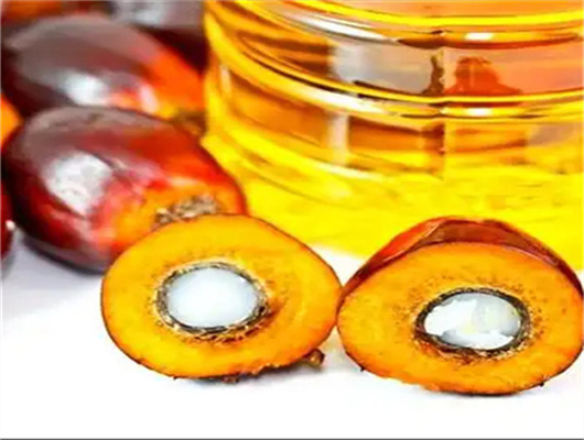 Équipement de presse à huile d'arachide purifiée avec filtre à huile