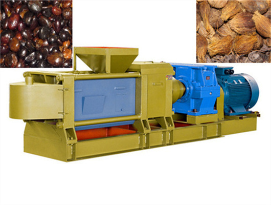 nouvelle ligne de production d'huile de noix de coco conçue au Bénin