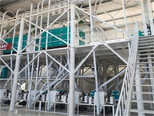 Machine de pressage d'huile de graines de chanvre CE CE, équipement d'extraction d'huile au Cameroun