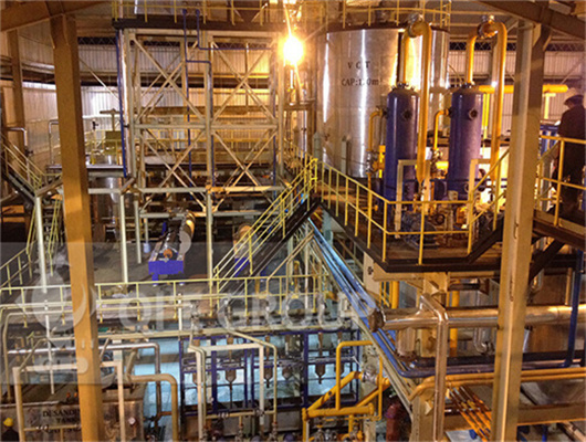 Machine de traitement d'huile de palme à faible consommation en Algérie