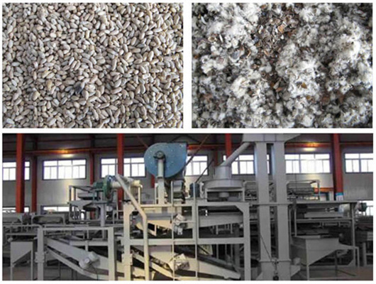 usine d'extraction d'huile de germe de maïs à vendre à Yaoundé